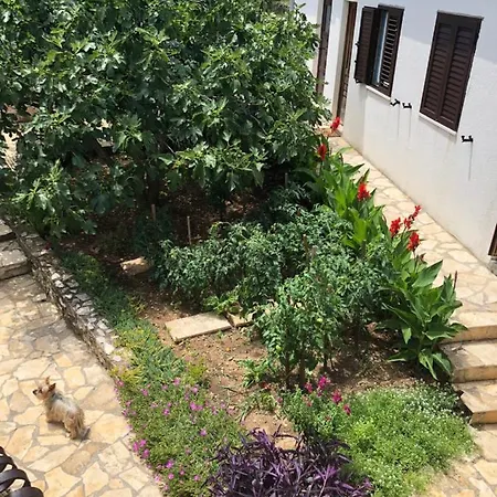 Orosnjak Apartment *